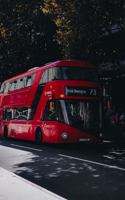 There is no image of flowers or floral arrangements; the provided photo shows a red double-decker bus on a city street, with the route indicator displaying 'Soke Neighbour' and the number 73, surround