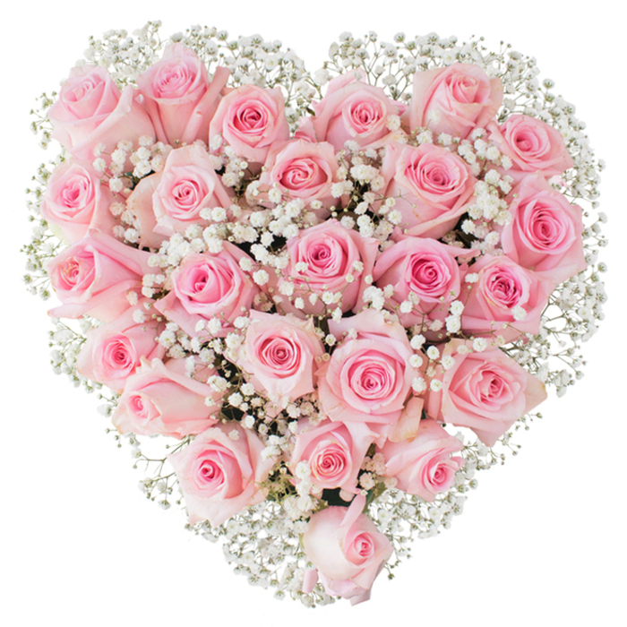 An elegant, heart-shaped floral composition built from a close-knit cluster of soft pastel pink roses and airy white baby's breath, photographed against a stark white background to emphasize texture, tone and form. Each rose presents a slightly different chapter of bloom - from taut, cup-shaped buds to wider, gently unfurling blossoms whose spiraled petals form velvet ridges - producing a tactile surface that reads plush and inviting. The gypsophila is woven throughout as delicate punctuation: hundreds of pinprick white flowers that act like mist, softening edges and drawing the eye along the heart's outline. Under gentle studio lighting the subtle colour gradients in the roses become apparent, the palest blush giving way to warmer pink cores while the green stems and calyces are mostly hidden, letting the floral faces speak. A florist's attention to balance is clear in the even distribution of roses and filler, creating an almost architectural symmetry without stiffness. The scent would be restrained and green, the roses' perfume tempered by the faintly powdery air of the baby's breath. This design is well suited to moments of lasting affection - anniversaries, romantic proposals, intimate wedding touches, or a serene tribute - and feels particularly apt for Stoke Newington residents who prize understated, heartfelt gestures; I imagine it being chosen for delivery across the area from Clissold Park to Rectory Road. This piece was prepared with local care by Flower Delivery Stoke Newington, reflecting both floral skill and neighbourhood sensibility.