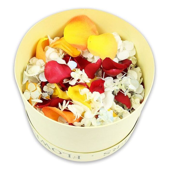 Captured in soft, even light, this photograph presents a single cylindrical hatbox in a gentle cream tone, set crisply against a white background that emphasises its clean lines. The box has a refined, paperboard finish with the word "FLOWERS" discretely debossed along the top edge, offering just enough detail to signal its purpose without overshadowing the floral display. From this understated vessel rises a generous, domed heap of dried petals, packed closely yet looking naturally at ease, like a freshly scattered path of blooms along a quiet Stoke Newington terrace. Deep red rose petals dominate, their velvety surfaces and gracefully curled edges creating depth and shadow. Their rich crimson hue suggests deep affection, respect, and memory-tones often chosen for dignified funeral tributes. Intermixed are luminous yellow petals and soft peach-orange petals that soften the palette and introduce a gentle, hopeful warmth, reminiscent of the light that pools around the edges of Clissold Park at dusk. Threaded throughout, tiny white hydrangea florets, with just a hint of pale blue among some of them, bring a feather-light contrast, their papery petals catching the light in a subtle shimmer. The photograph is taken from a slightly elevated overhead angle, offering a clear view of the intricate interplay between colour, shape, and texture. Though clearly dried, the petals still look lush and full, preserving the impression of recent bloom. This thoughtful blend would suit a range of farewell gestures in Stoke Newington, from scattering petals as a final tribute at a graveside to arranging them in bowls or sachets for a wake, where their quiet beauty can comfort family and friends.