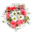 Experience the essence of Stoke Newington's floral artistry with this radiant bouquet, bursting with white daisies and lush coral-pink carnations in a harmonious dance of colour and form. Viewed from above, the arrangement is a joyous medley: crisp daisy petals encircle luminous chartreuse centres, while cushiony carnations add depth and exuberance. Babys breath scatters a delicate, misty effect throughout, reminiscent of early morning mist drifting across Clissold Park. Subtle alstroemeria buds introduce a whisper of future bloom, each lightly brushed with shades of pink and purple. Silvery eucalyptus and glossy deep green foliage embrace the flowers, providing a cool, modern contrast and grounding presence. The composition is at once classic and contemporary, capturing the spirit of neighbourhood celebrations and the timeless beauty of natural design. Perfect for delivery to a loved one's door or sharing at a local celebration, this bouquet brings a bright touch of Stoke Newington right into any home or special moment.