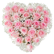 A lush heart-shaped wreath composed of dozens of soft pink roses, closely set so their velvety blooms create a seamless, plush surface against a pristine white background. The roses range from pale blush to a slightly deeper rose tone, each petal edged with a satiny sheen that catches the bright, even light; some blooms sit as tight, elegant buds while others unfurl into open spirals that reveal layered, curling petals. Nestled among the roses are clouds of tiny white baby's breath (Gypsophila), their fine, lace-like sprays threaded through the heart to carve a delicate, luminous contrast that defines the shape and adds an airy texture. From a florist's vantage, you sense the careful hand that tucked each stem to form a perfectly balanced silhouette - symmetrical yet natural, with subtle depth where blooms overlap and cast gentle shadows. The scent is whisper-soft: a cool, green rose fragrance with a hint of fresh cut stems and faint powdery sweetness from the gypsophila. This composition evokes quiet romance and tender remembrance; it reads as a message of enduring affection, suitable for anniversaries, intimate weddings, or heartfelt tributes. I imagine this piece being chosen by someone in Stoke Newington who wants to send a personal, thoughtful symbol of love, whether to a flat near Church Street, a bench by Clissold Park, or a home off Stoke Newington High Street. The bright, clinical background keeps the eye on texture and hue, highlighting both the floral freshness and the technical care of the arrangement, as if the bouquet were being described at the workbench under soft studio light.
